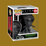 Xenomorph Supersized, 6-Inch Funko Pop! (1616) Alien Romulus