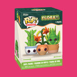 Mystery Plants Blind Box Funko Pop!
