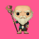 (Pre-Order) Deckard Cain Funko Pop! (1047) Diablo 3