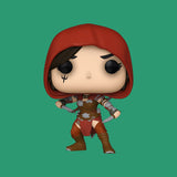 Rogue Funko Pop! (1009) Diablo IV