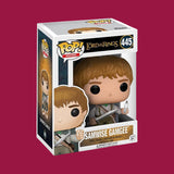 Samwise Gamgee Funko Pop! (445) Lord of the Rings