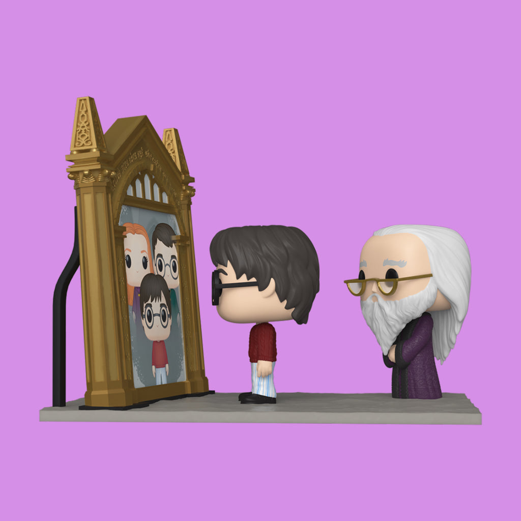 Harry & Dumbledore with Mirror Erised Funko Pop! Moment (145) Harry Potter