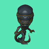(Pre-Order) Xenomorph (1768) Funko Pop! Alien Earth