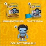 Mystery One Piece Blind Box Funko Pop!