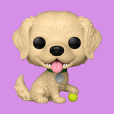 (Pre-Order) Golden Retriever (15) Funko Pop! Pets