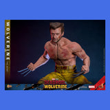 (Pre-Order) Hot Toys Wolverine (TVA Jacket) 1/6 Actionfigur Marvel Deadpool & Wolverine