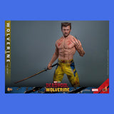 (Pre-Order) Hot Toys Wolverine (TVA Jacket) 1/6 Actionfigur Marvel Deadpool & Wolverine