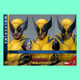 (Pre-Order) Hot Toys Wolverine (Deluxe Version) 1/6 Actionfigur Marvel Deadpool & Wolverine