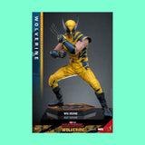 (Pre-Order) Hot Toys Wolverine (Deluxe Version) 1/6 Actionfigur Marvel Deadpool & Wolverine