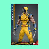 (Pre-Order) Hot Toys Wolverine (Deluxe Version) 1/6 Actionfigur Marvel Deadpool & Wolverine