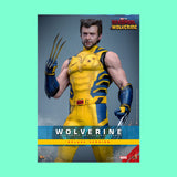 (Pre-Order) Hot Toys Wolverine (Deluxe Version) 1/6 Actionfigur Marvel Deadpool & Wolverine