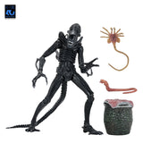 (Pre-Order) Aliens Ultimate Actionfigur Warrior (1986) Xenomorph Black (40th Anniversary)  Actionfigur