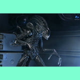 (Pre-Order) Aliens Ultimate Actionfigur Warrior (1986) Xenomorph Black (40th Anniversary)  Actionfigur