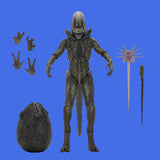 (Pre-Order) Wendy's Xenomorph Ultimate Actionfigur NECA Alien: Earth