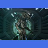(Pre-Order) Wendy's Xenomorph Ultimate Actionfigur NECA Alien: Earth