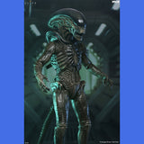 (Pre-Order) Wendy's Xenomorph Ultimate Actionfigur NECA Alien: Earth