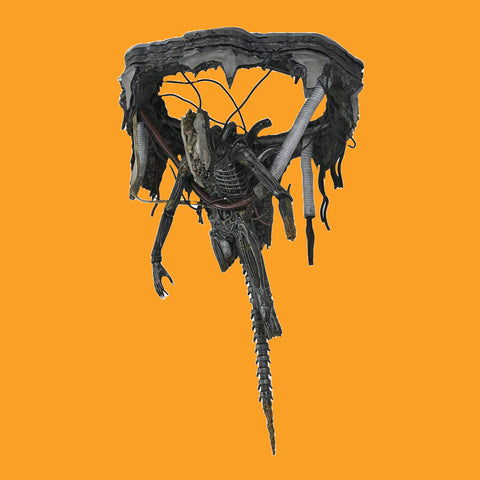 (Pre-Order) Suspended Lab Xenomorph XX121 Actionfigur NECA Alien Romulus