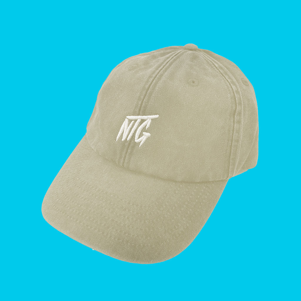 NTG Classic - Logo 2.0 Dad Hat Vintage Stone