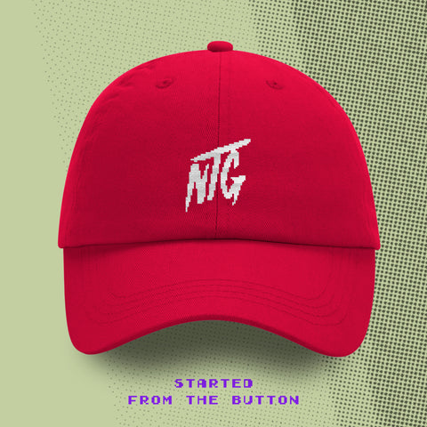 (Pre-Order) Nerdy Terdy Gang "NTG Pixel-Look" Dad Hat rot