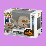 Atrociraptor (Ghost) Funko Pop! (1205) Jurassic World 3